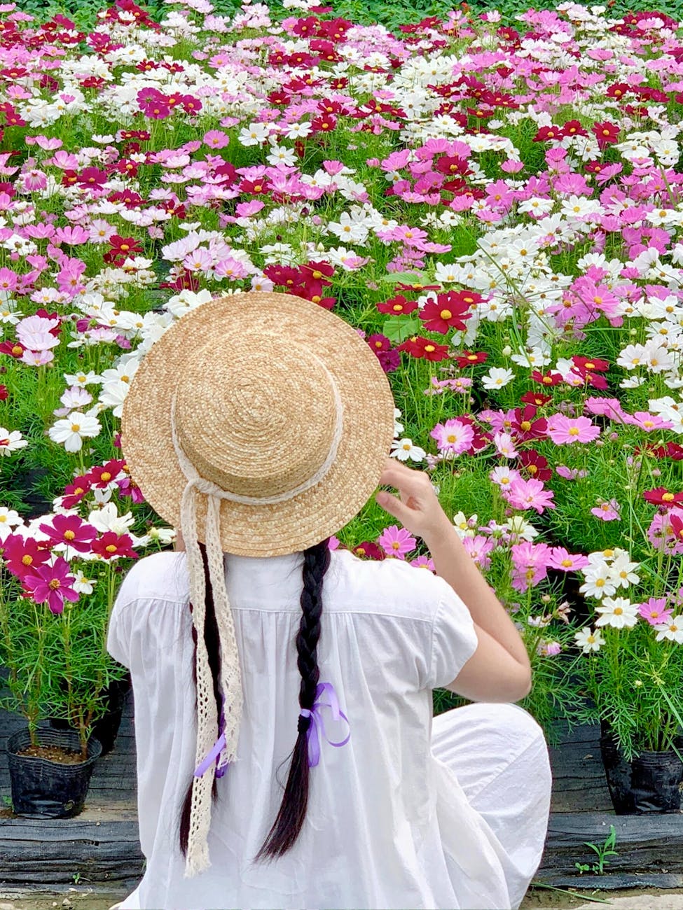 Discover the Secret Garden of Your&nbsp;Mind